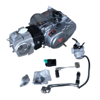 Motor Set TAO 125 ccm 1N234 manuelle Kupplung nur...