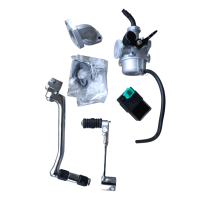 Motor Set TAO 125 ccm 1N234 manuelle Kupplung nur Kickstart silber