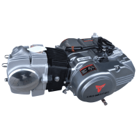 Motor Set TAO 125 ccm 1N234 manuelle Kupplung nur Kickstart silber