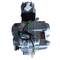 Motor Set TAO 125 ccm 1N234 manuelle Kupplung nur Kickstart silber
