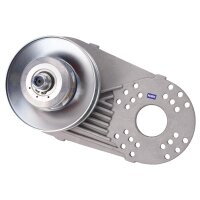 Variomatik Kupplungssatz 19,05mm für 2-8PS Motoren