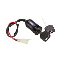 Elektro Motor Bausatz 36V 1000W Typ 2